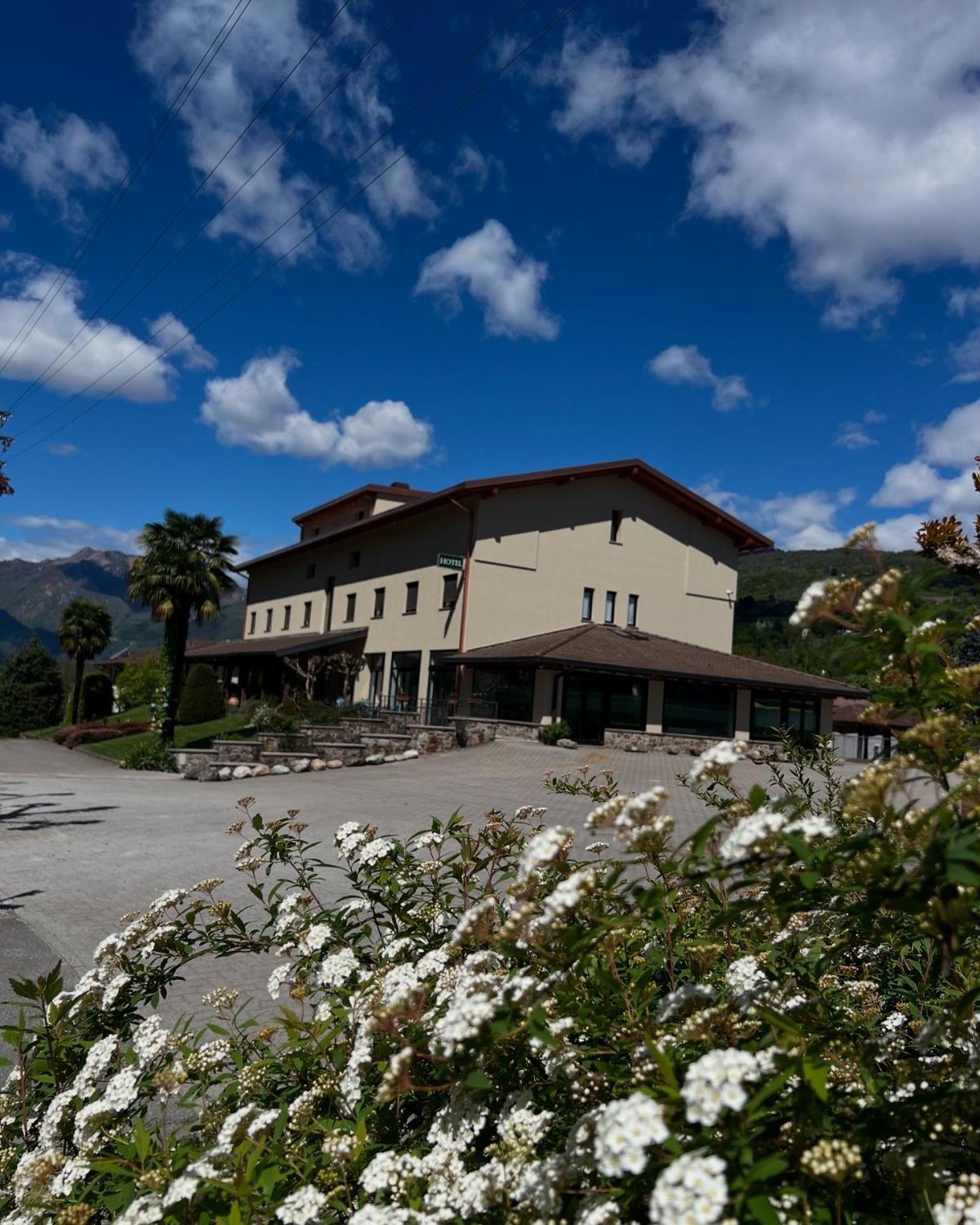 Hotel Merloni Grandola ed Uniti Екстериор снимка